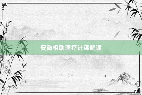 安徽相助医疗计谋解读