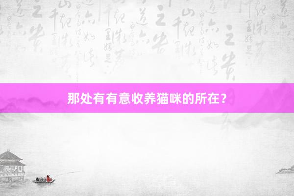 那处有有意收养猫咪的所在？
